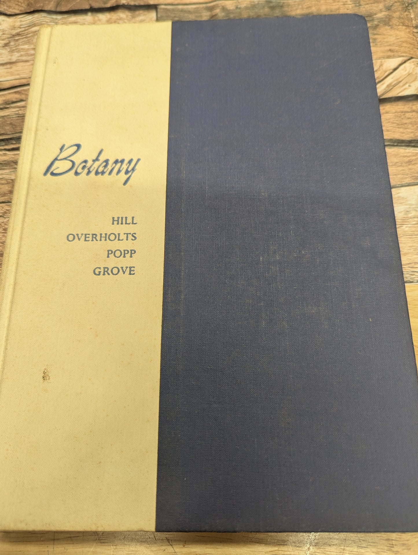 Botany college textbook 3rd edition 1960 great for junk journals collage ephemera nature journals, art journals, glue books