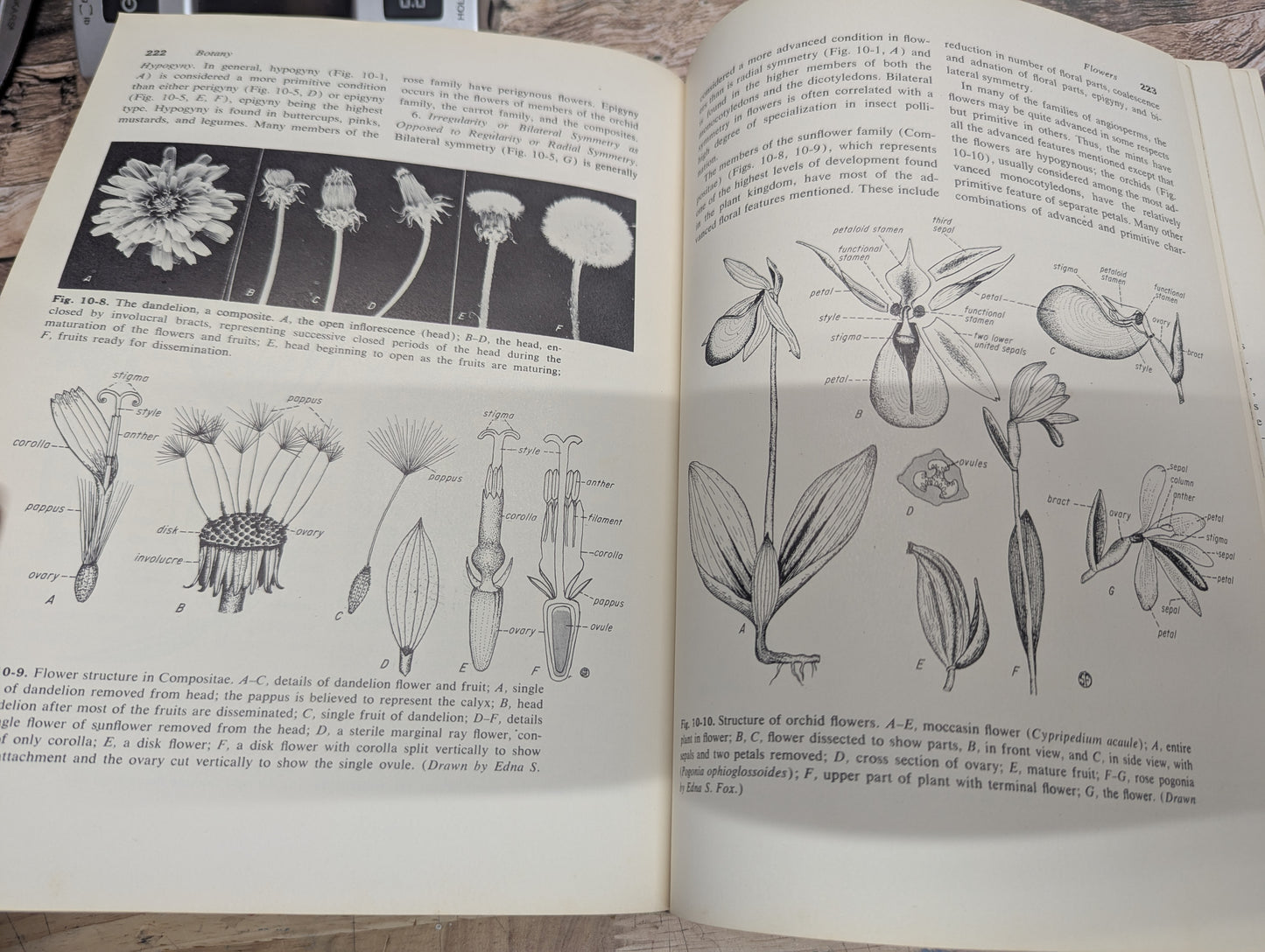 Botany college textbook 3rd edition 1960 great for junk journals collage ephemera nature journals, art journals, glue books