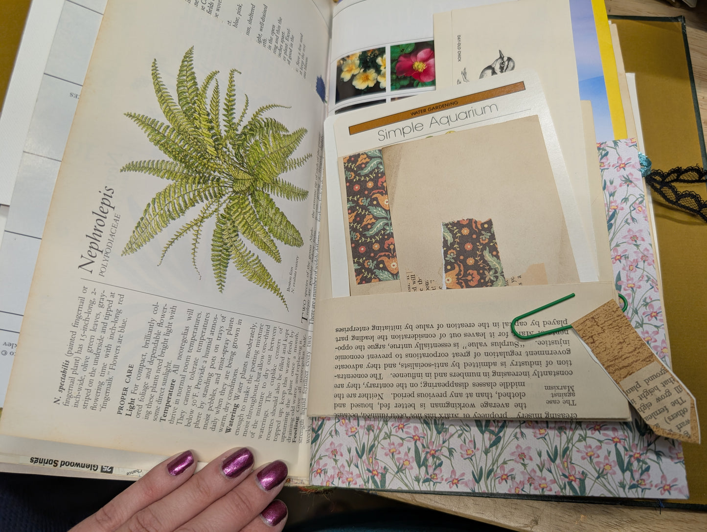 Nature Supply Journal - The Birds