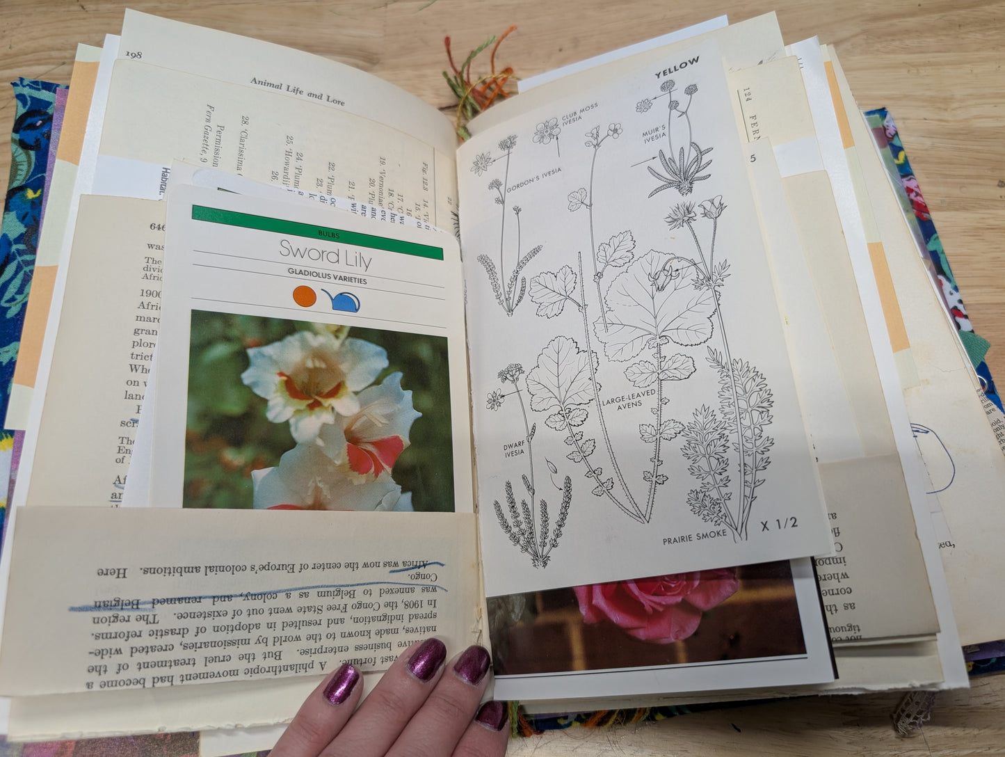 Nature Supply Journal - Blue