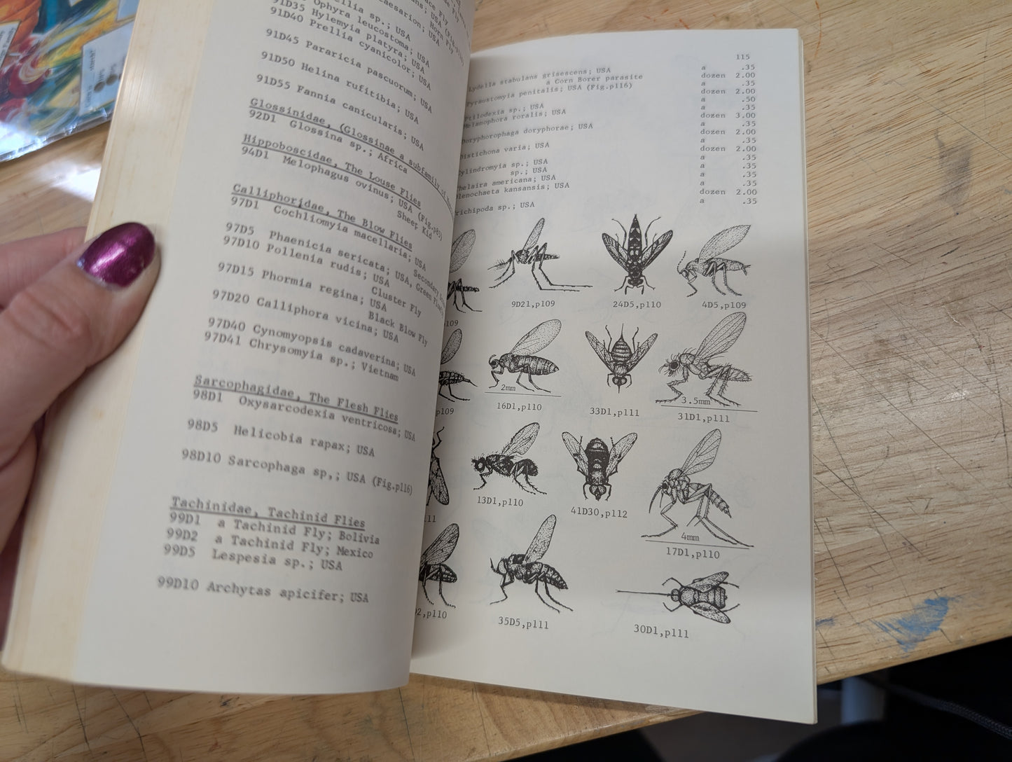 Insects and related fauna from combined scientific supplies vintage etymology guidebook