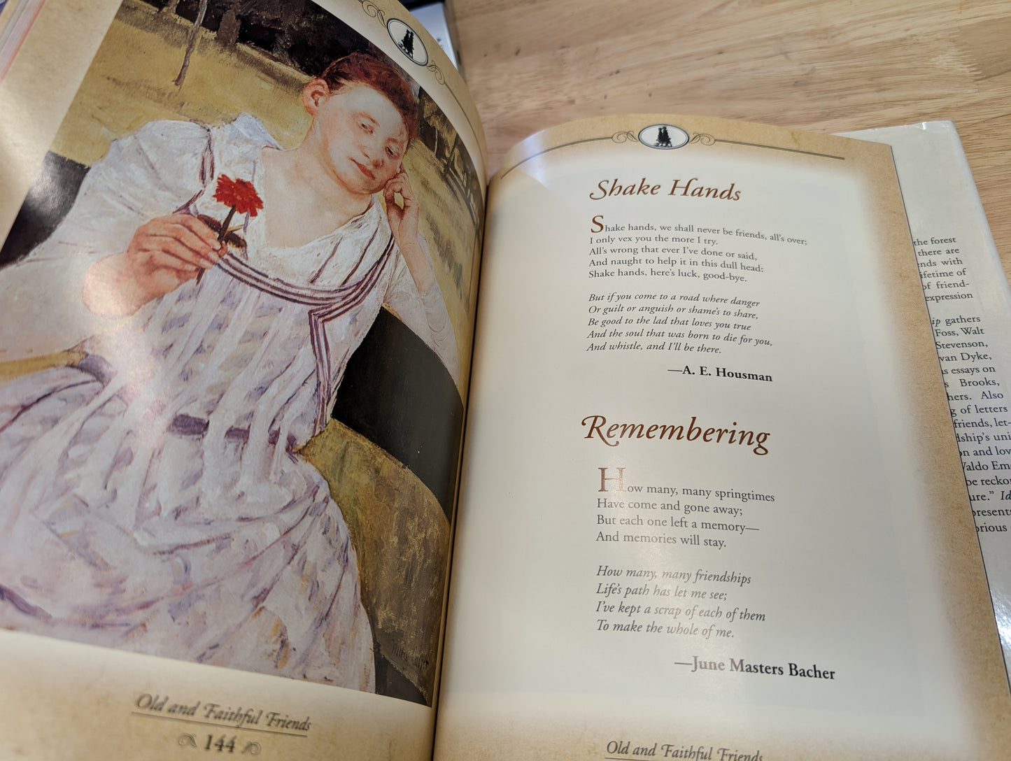 The gift of friendship - an ideals publication 1995