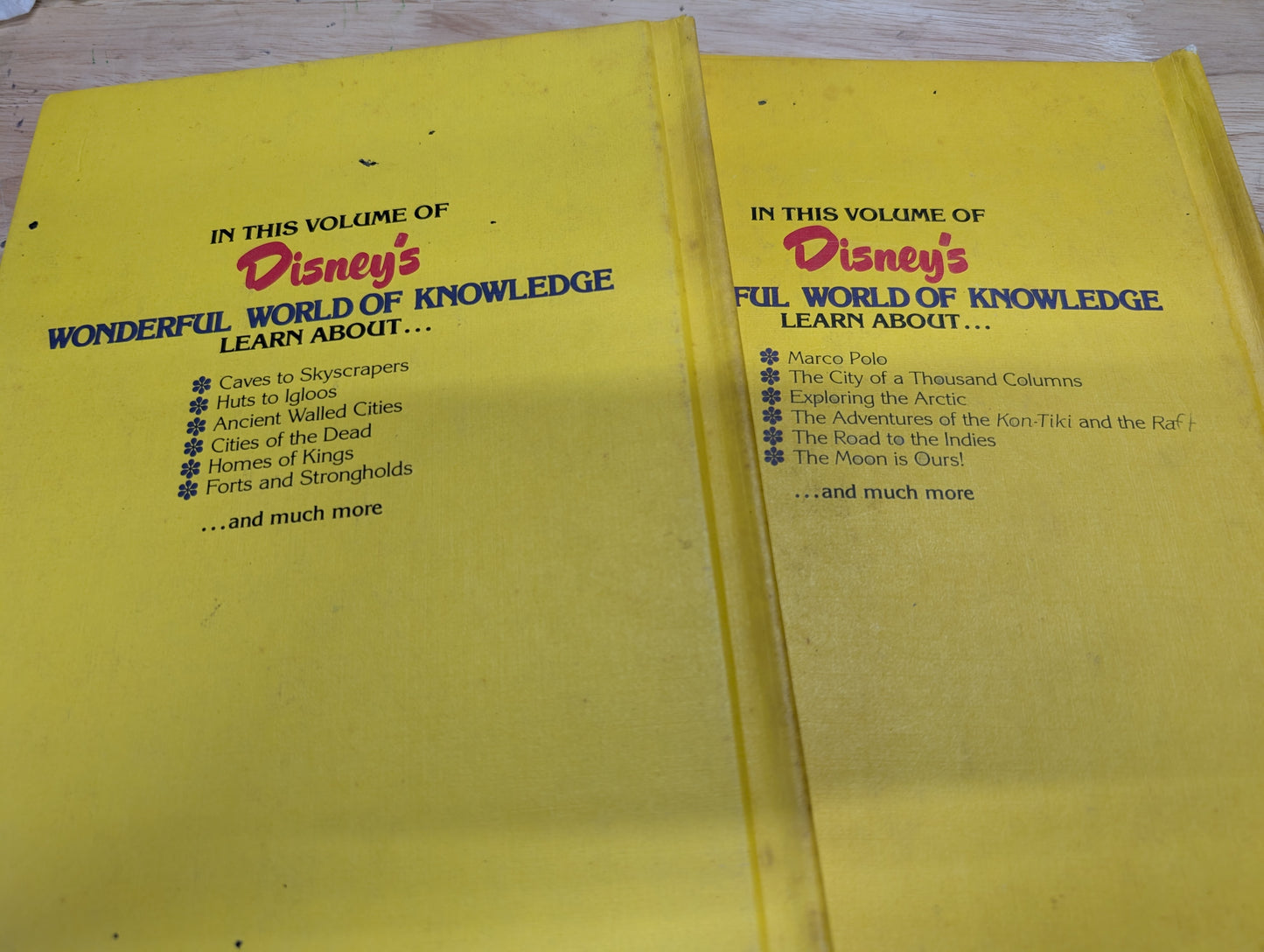 (COVER ONLY) Pair of Disney Wonderful World of Knowledge Book Covers for Junk Journal, Gluebook, Mixed Media