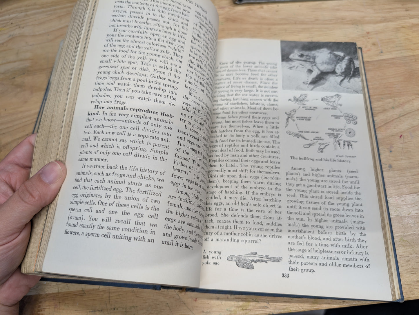 Understanding the universe. Franklin b. Carroll 1952 vintage science textbook
