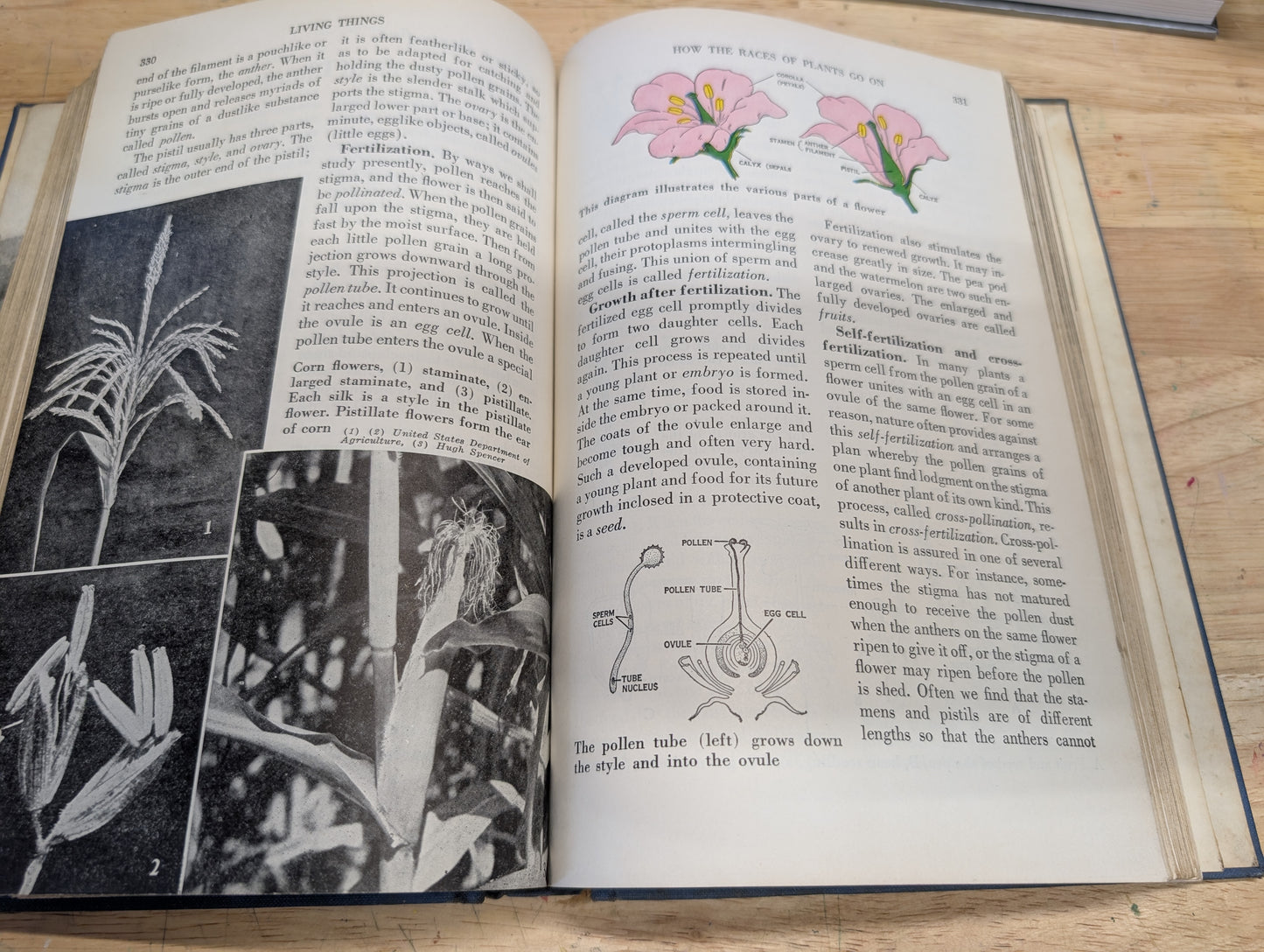 Understanding the universe. Franklin b. Carroll 1952 vintage science textbook