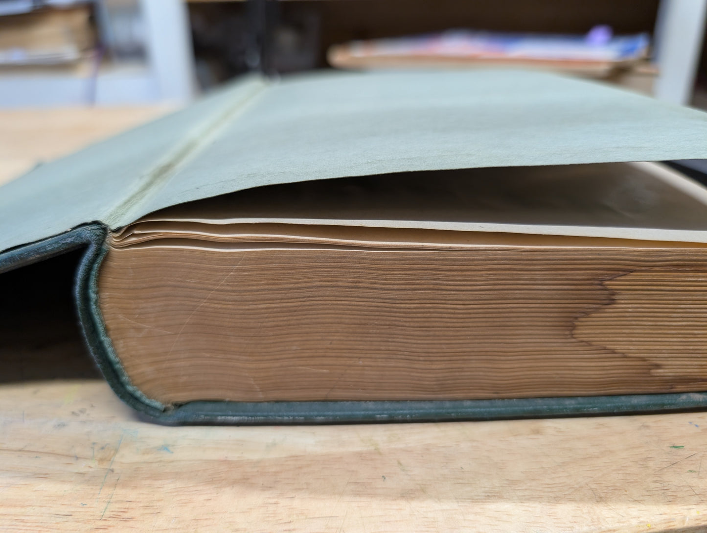 Antique general catalog hendrie & bolthoff manufacturing and supply 1924