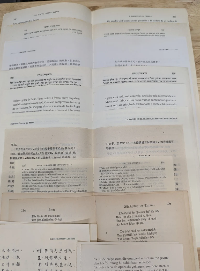30 Piece Foreign Text Pages - Multi pack, Asian text, French/Dutch mix