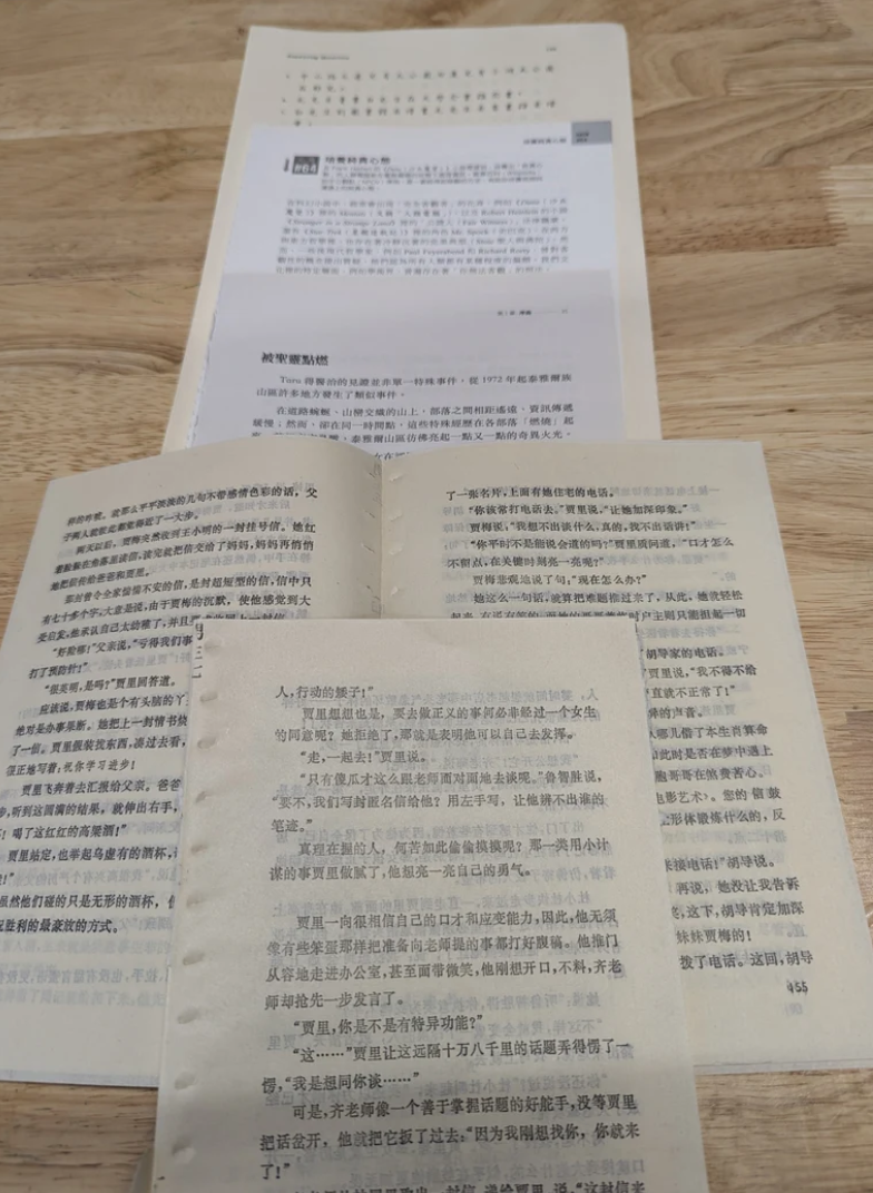 30 Piece Foreign Text Pages - Multi pack, Asian text, French/Dutch mix