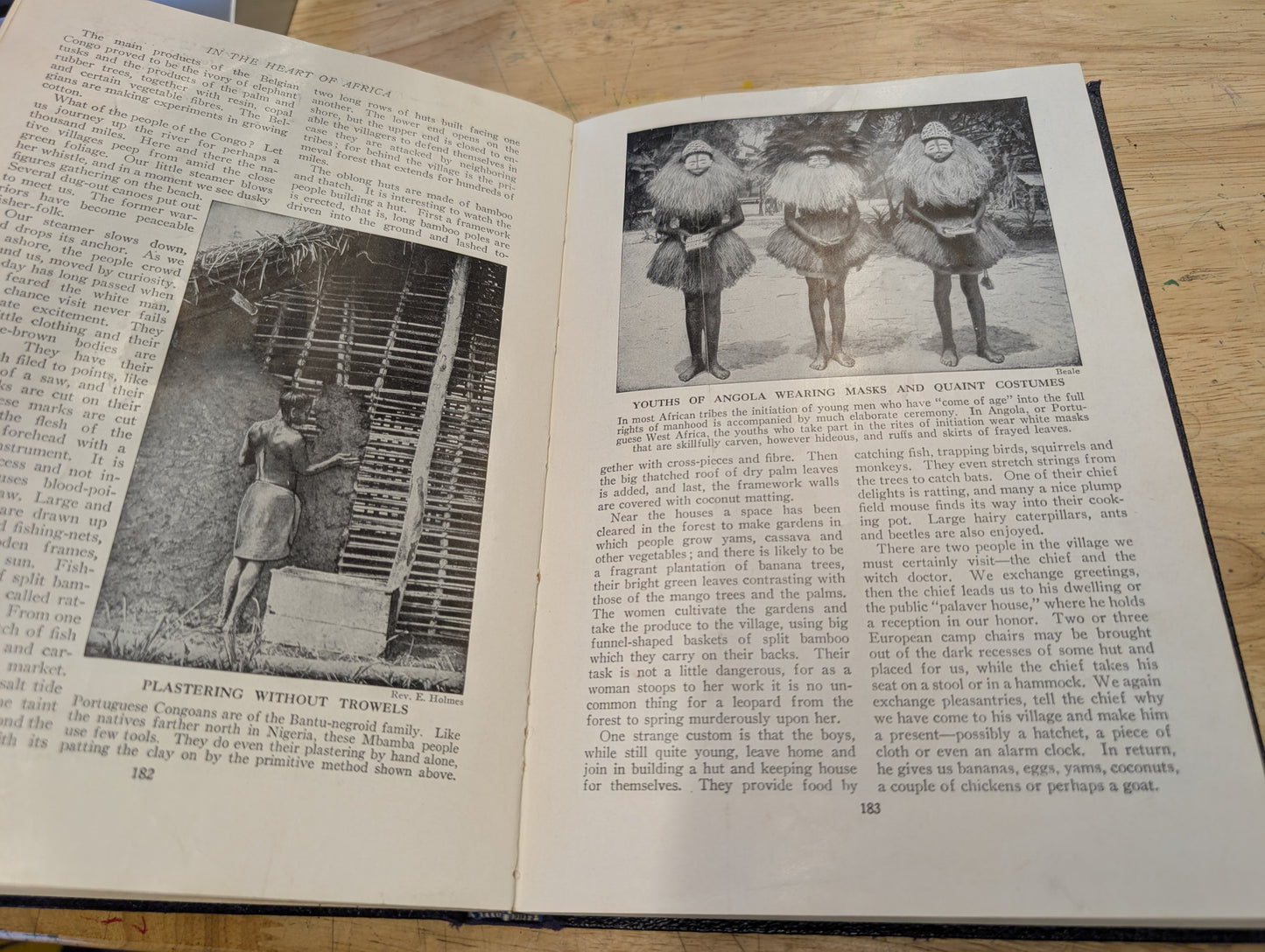 Lot of two lands in people's books 1951 volume V and VII