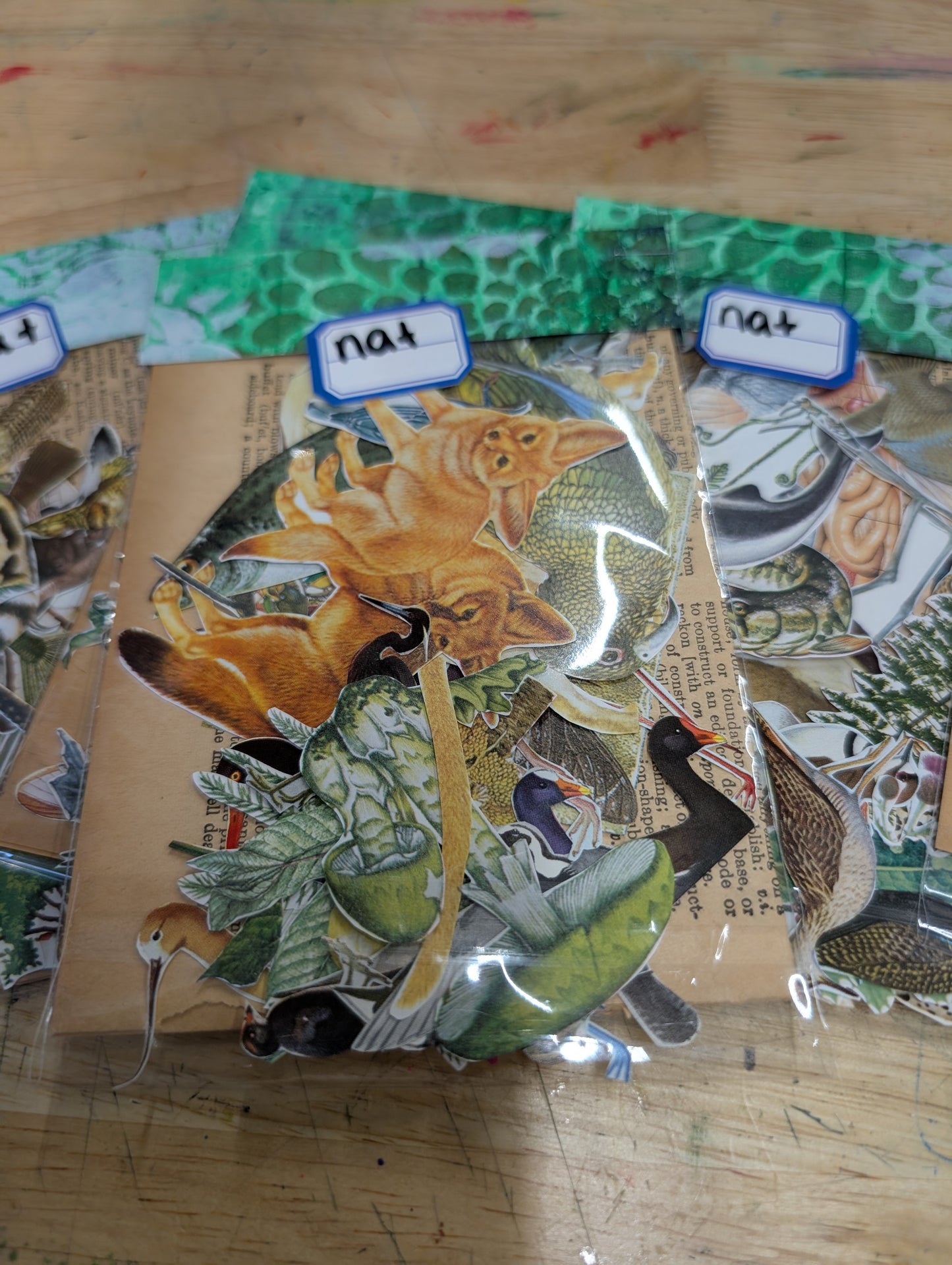 Fussy cuts galore! Nature Images for Junk Journals, Collage, Mixed Media, Paper Crafts FREE SHIPPING