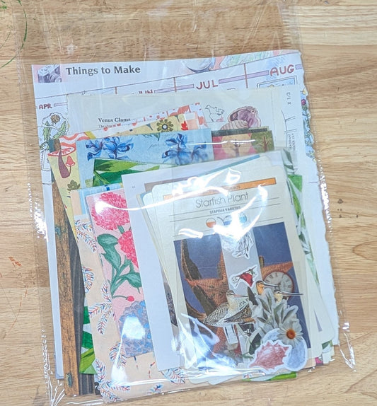 Nature Ephemera Packs are Back!