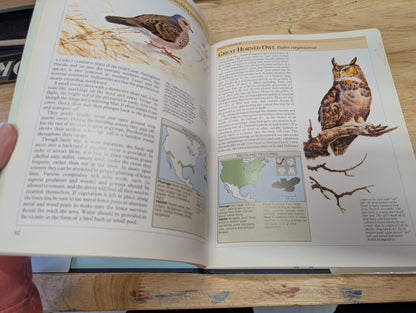 Garden birds 1991 great bird images for nature Journal collage, mixed media, junk Journal, art Journal