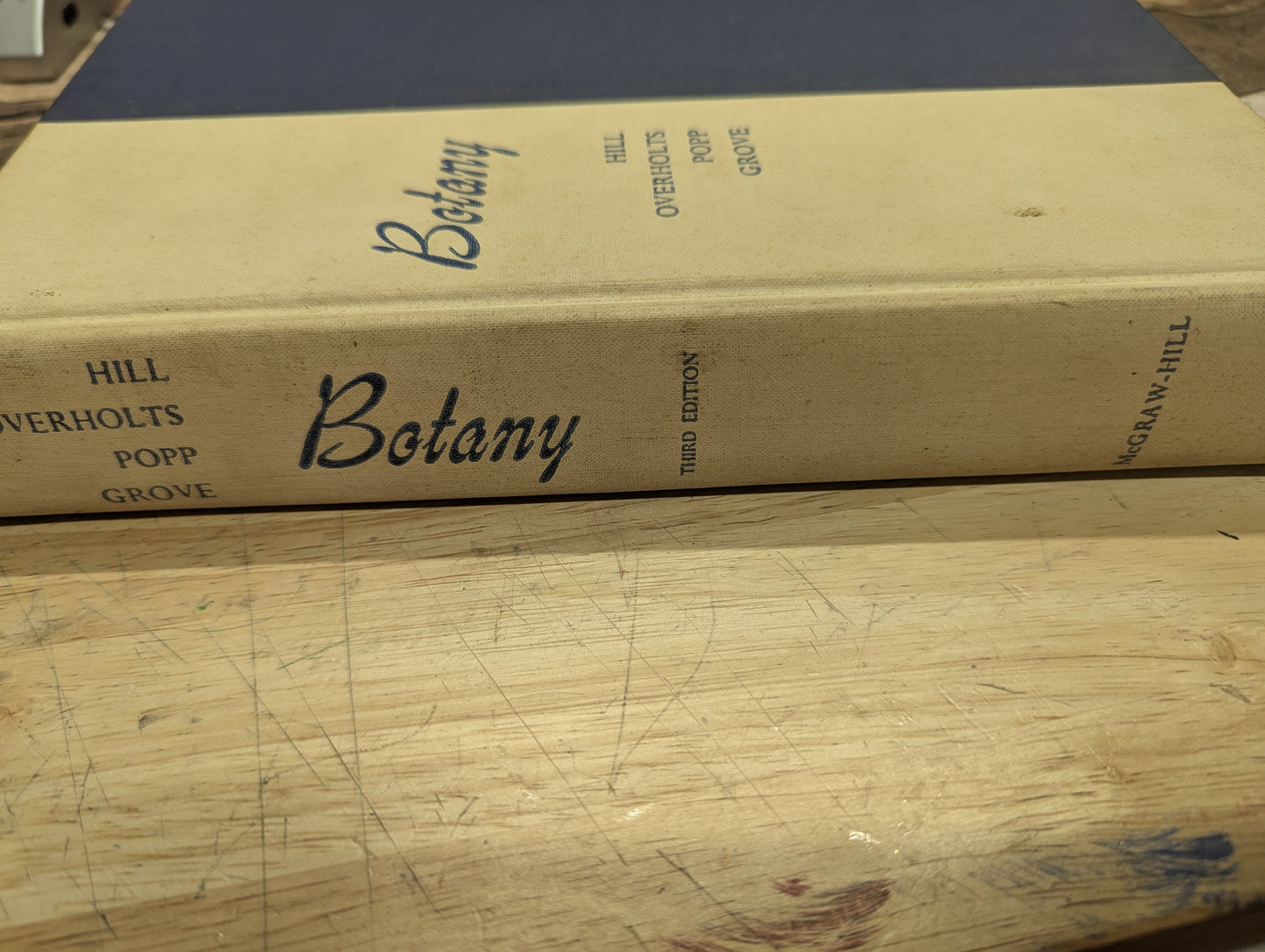 Botany college textbook 3rd edition 1960 great for junk journals collage ephemera nature journals, art journals, glue books