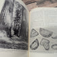 Botany college textbook 3rd edition 1960 great for junk journals collage ephemera nature journals, art journals, glue books
