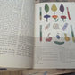 Botany college textbook 3rd edition 1960 great for junk journals collage ephemera nature journals, art journals, glue books