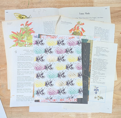 Nature and Botanical Collage Pack 50+ Pieces for Gluebook Art Journal Junk Journal Vintage Paper Crafts