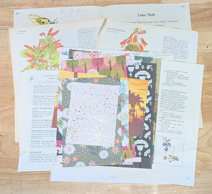 Nature and Botanical Collage Pack 50+ Pieces for Gluebook Art Journal Junk Journal Vintage Paper Crafts