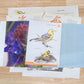 Nature and Botanical Collage Pack 50+ Pieces for Gluebook Art Journal Junk Journal Vintage Paper Crafts