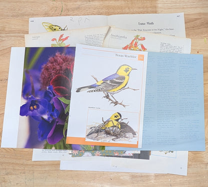 Nature and Botanical Collage Pack 50+ Pieces for Gluebook Art Journal Junk Journal Vintage Paper Crafts