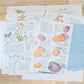 Nature and Botanical Collage Pack 50+ Pieces for Gluebook Art Journal Junk Journal Vintage Paper Crafts