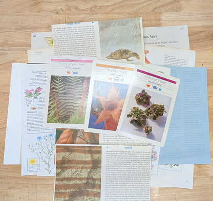 Nature and Botanical Collage Pack 50+ Pieces for Gluebook Art Journal Junk Journal Vintage Paper Crafts