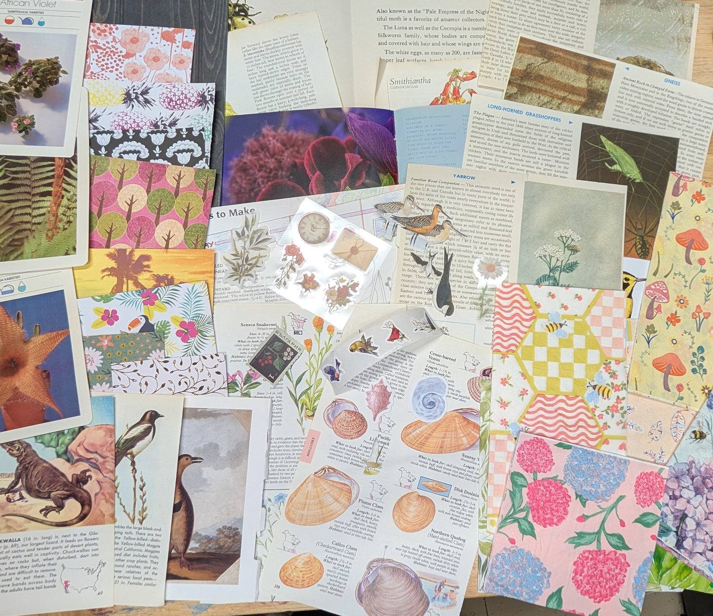Nature and Botanical Collage Pack 50+ Pieces for Gluebook Art Journal Junk Journal Vintage Paper Crafts