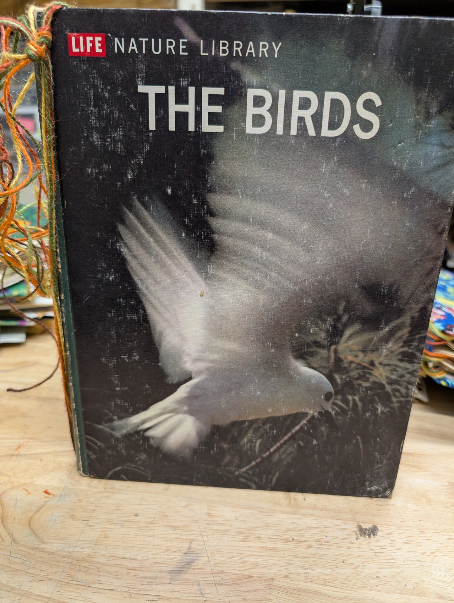 Nature Supply Journal - The Birds