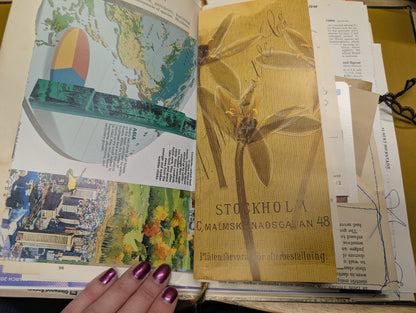 Nature Supply Journal - The Birds