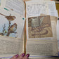 Nature Supply Journal - The Birds