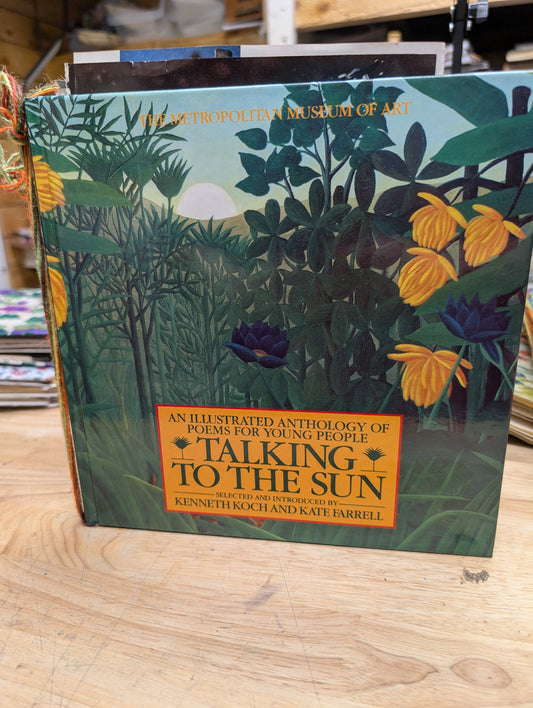 Nature Supply Journal - Talking to the Sun