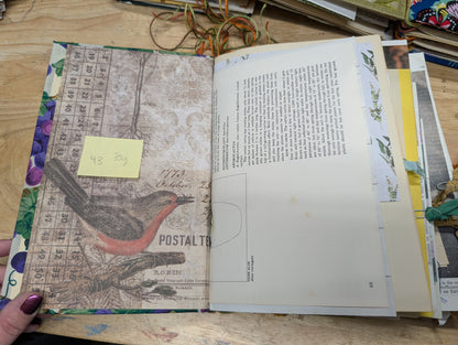 Nature Supply Journal - Grapevine Cover