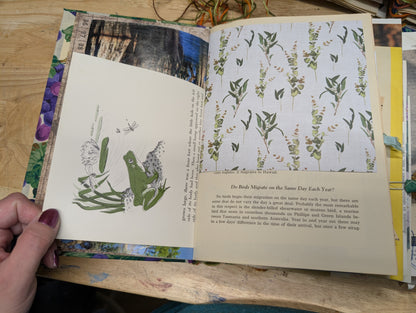 Nature Supply Journal - Grapevine Cover