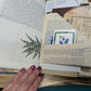 Nature Supply Journal - Grapevine Cover