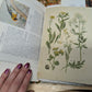 Nature Supply Journal - Grapevine Cover