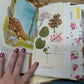 Nature Supply Journal - Grapevine Cover