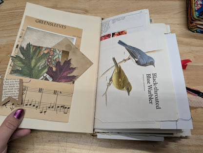 Nature Supply Journal - Mushroom Cover