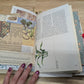Nature Supply Journal - Mushroom Cover