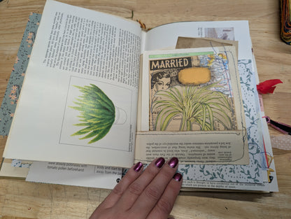 Nature Supply Journal - Mushroom Cover