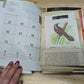 Nature Supply Journal - Mushroom Cover