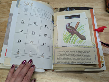 Nature Supply Journal - Mushroom Cover