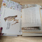 Nature Supply Journal - Mushroom Cover
