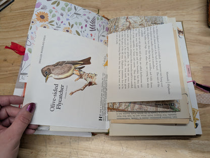 Nature Supply Journal - Mushroom Cover