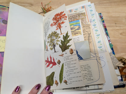 Nature Supply Journal - Blue