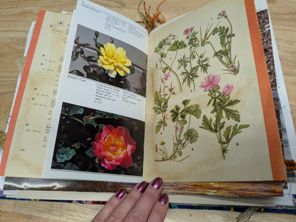 Nature Supply Journal - Blue