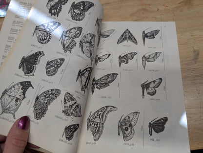 Insects and related fauna from combined scientific supplies vintage etymology guidebook