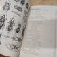 Insects and related fauna from combined scientific supplies vintage etymology guidebook