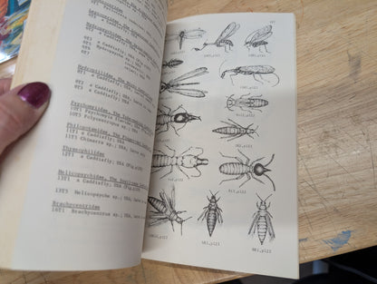 Insects and related fauna from combined scientific supplies vintage etymology guidebook