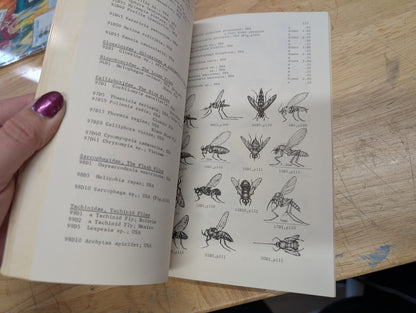 Insects and related fauna from combined scientific supplies vintage etymology guidebook