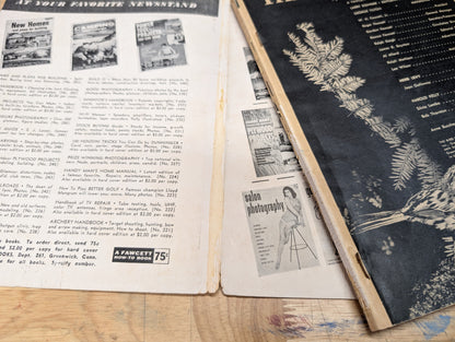 The bird book a picture album of American birds by Leon Augustus hausman special fawcett How to book 1955