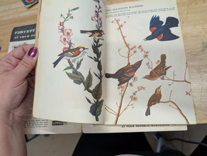 The bird book a picture album of American birds by Leon Augustus hausman special fawcett How to book 1955
